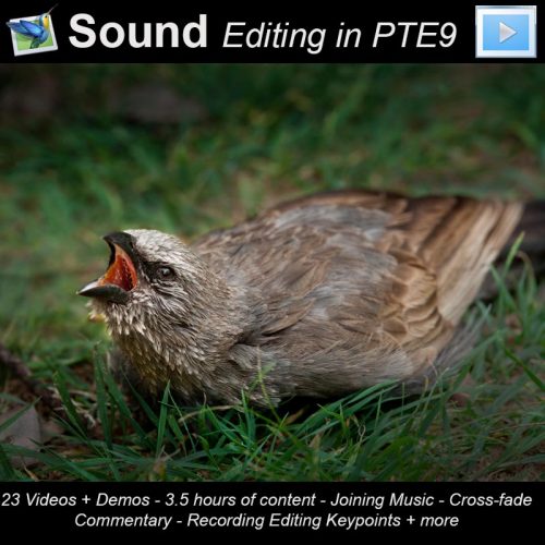 PTE9 Sound Editing